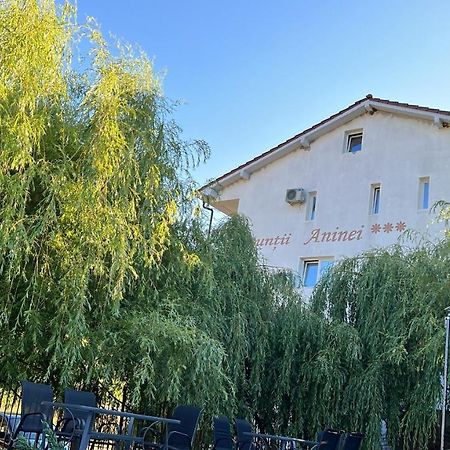 Pensiune Muntii Aninei Anina Exterior foto