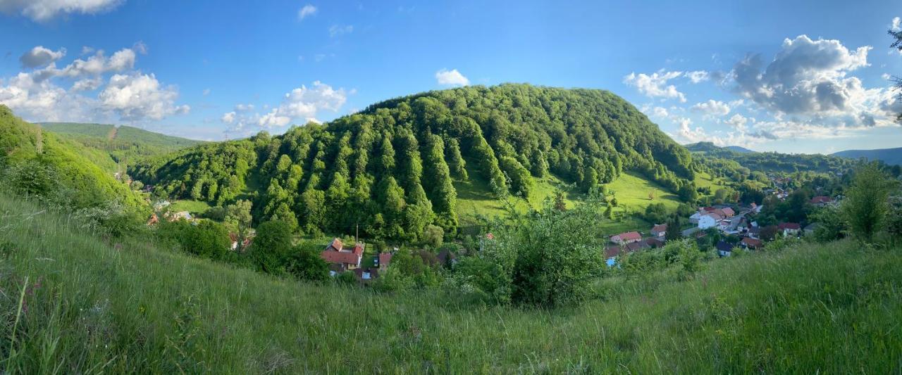 Pensiune Muntii Aninei Anina Exterior foto