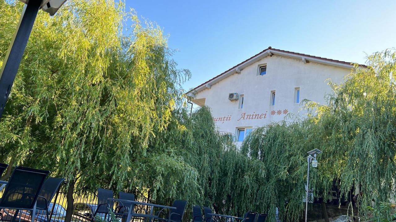 Pensiune Muntii Aninei Anina Exterior foto