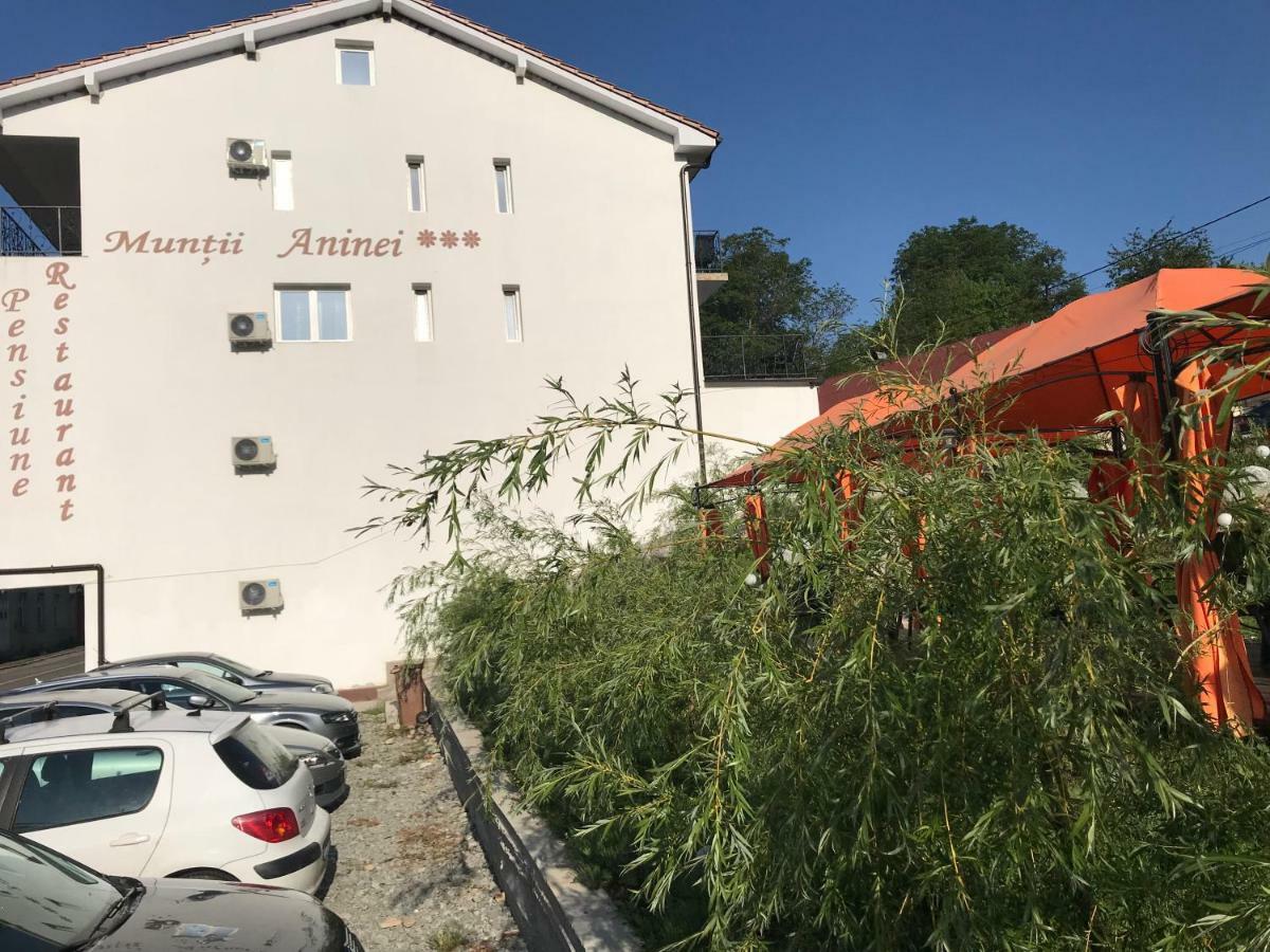 Pensiune Muntii Aninei Anina Exterior foto